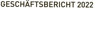 Gesch ftsbericht 2022